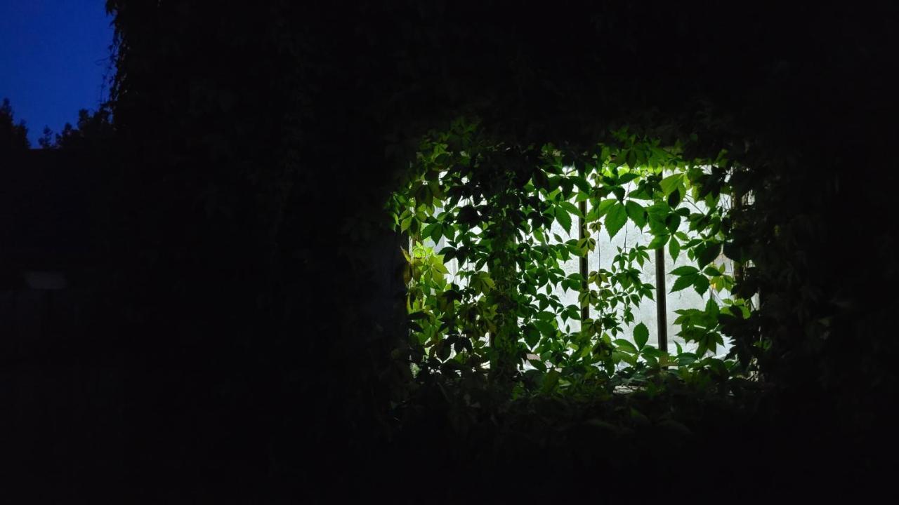 Borywood Villa Male Gacno Bagian luar foto