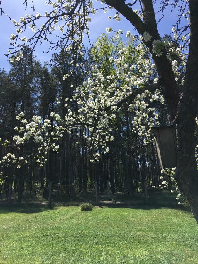 Borywood Villa Male Gacno Bagian luar foto