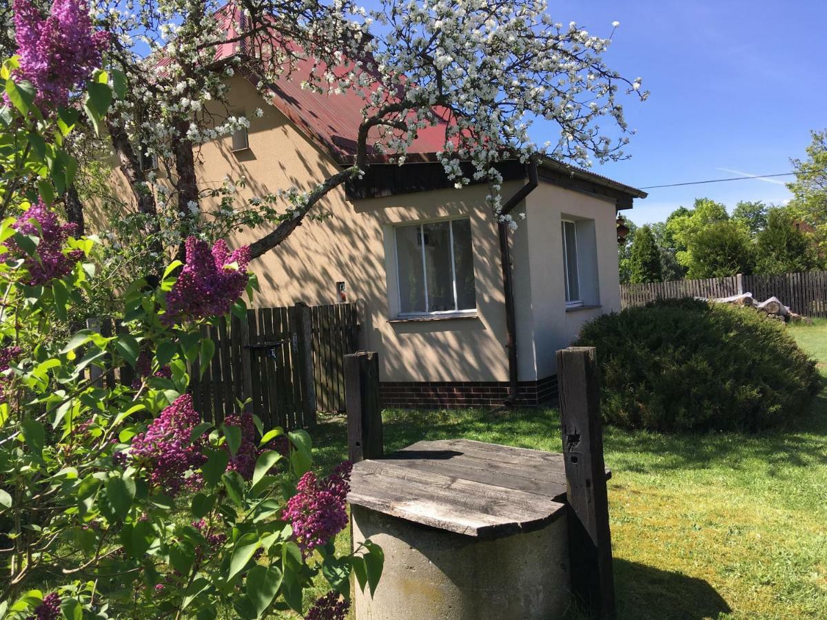 Borywood Villa Male Gacno Bagian luar foto